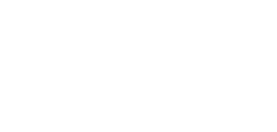 BKK ZF & Partner